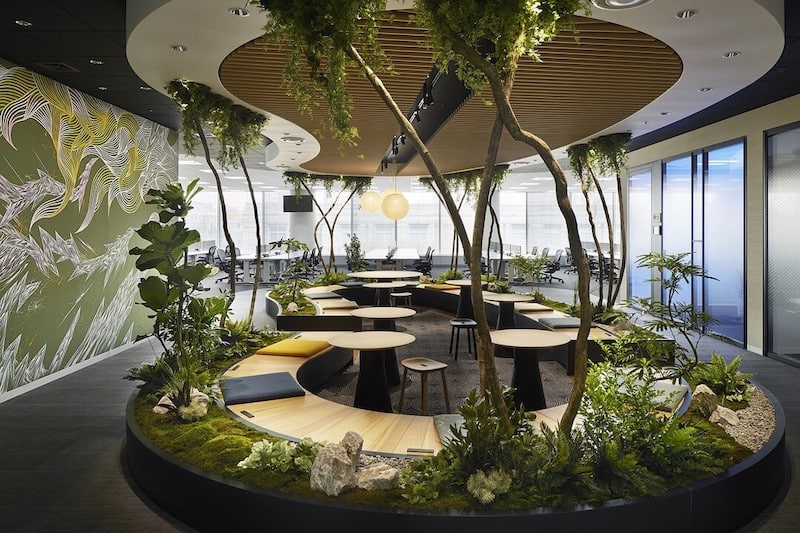 Biophilia and Biophilic Design: 10 Tips and 4 Inspiring Examples